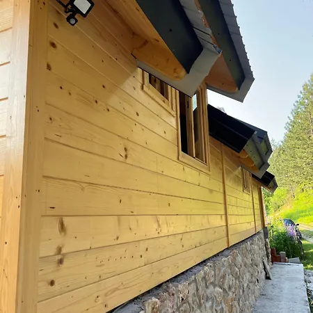 Apartamento Oaza Mira 3